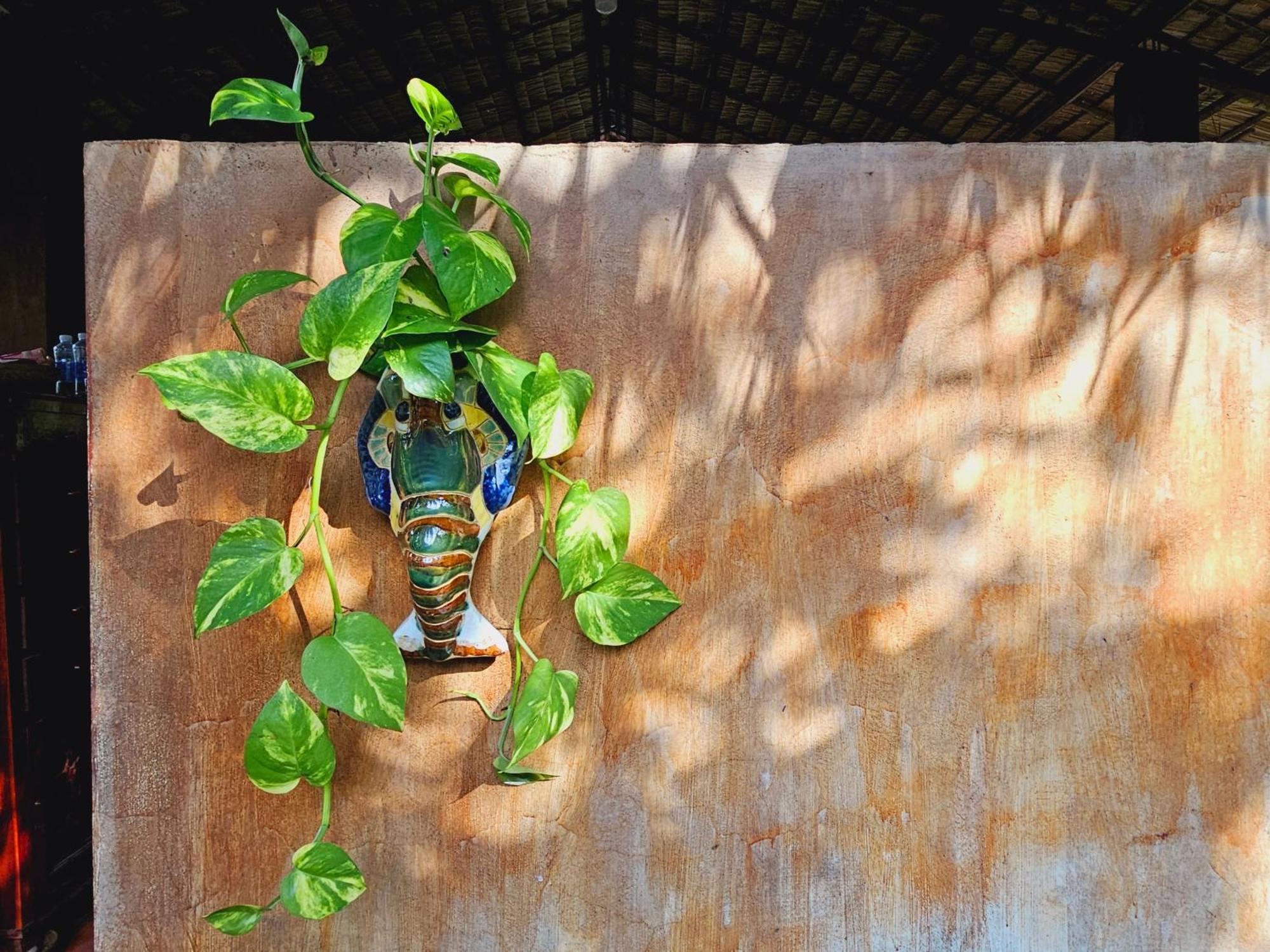 Ba Danh Homestay & Kitchen - Ben Tre Mekong 외부 사진