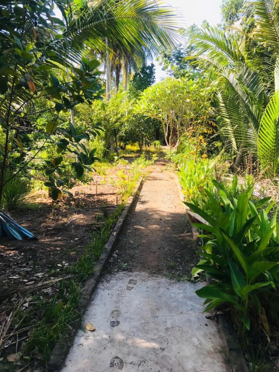 Ba Danh Homestay & Kitchen - Ben Tre Mekong 외부 사진