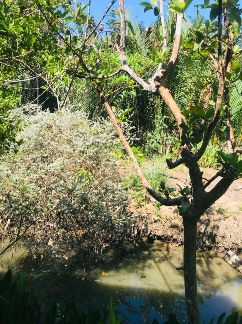 Ba Danh Homestay & Kitchen - Ben Tre Mekong 외부 사진