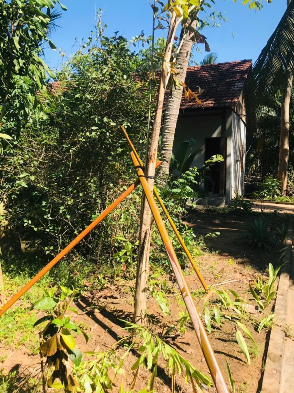 Ba Danh Homestay & Kitchen - Ben Tre Mekong 외부 사진
