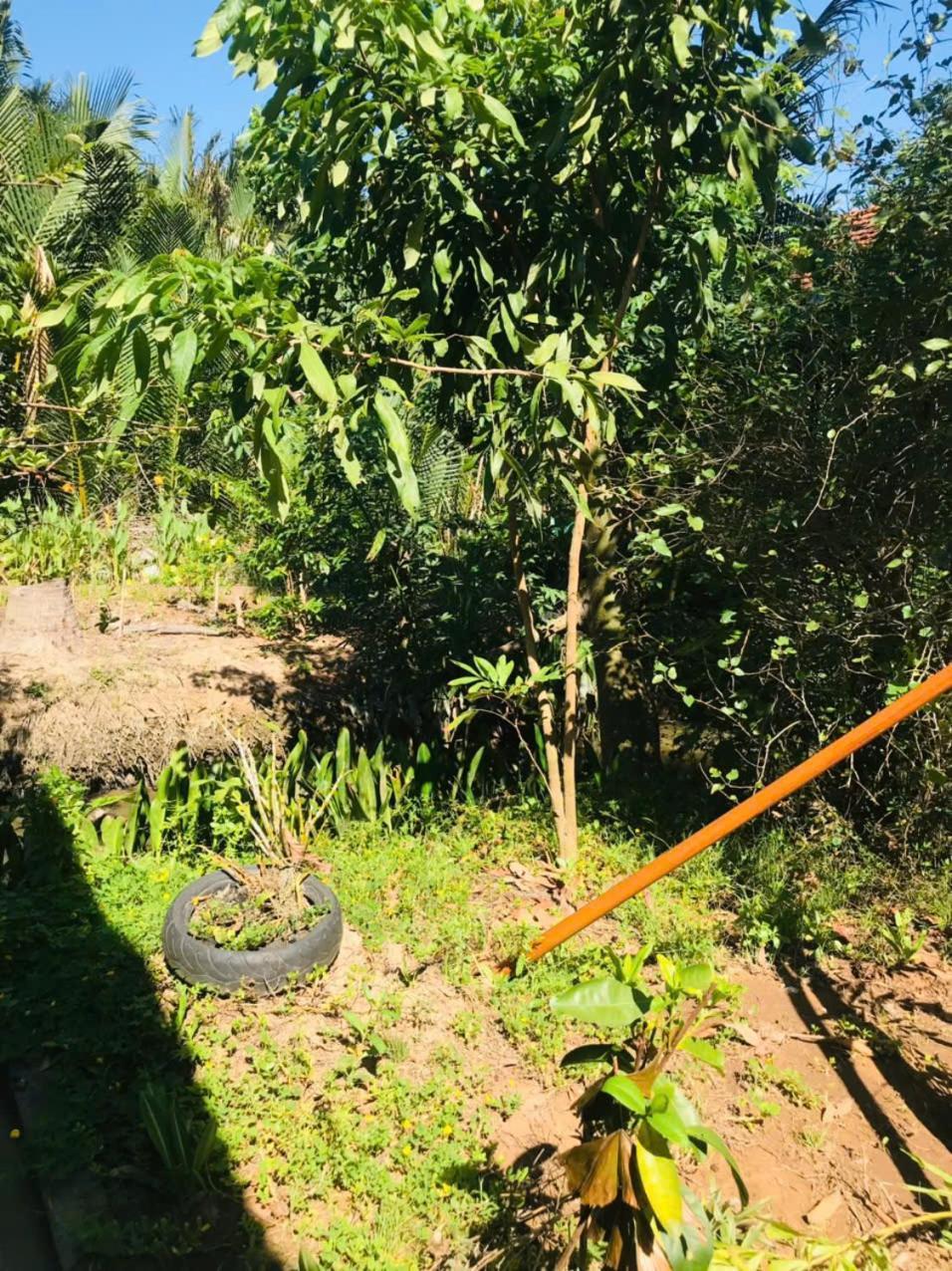 Ba Danh Homestay & Kitchen - Ben Tre Mekong 외부 사진